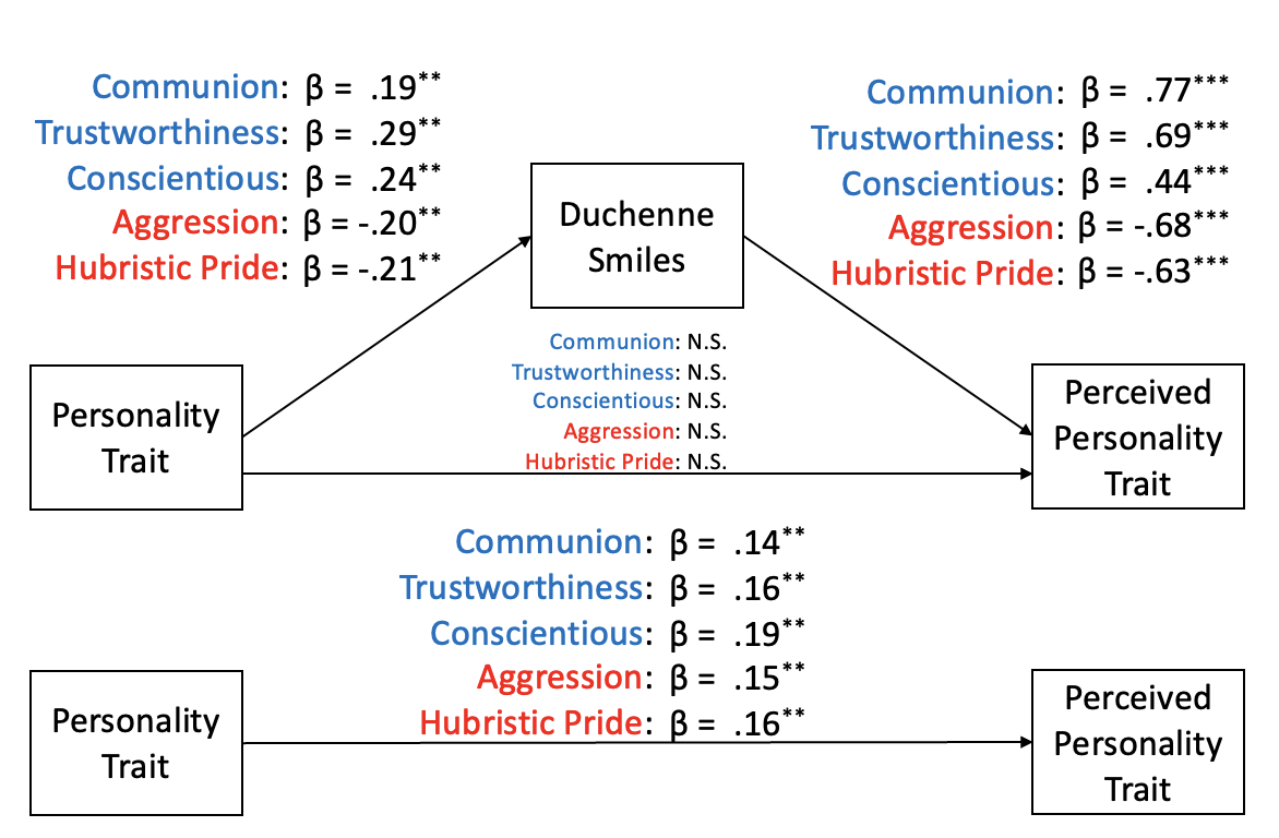Diagram relating personality traits, Duchenne smiles, and observers’ perceptions of personality.